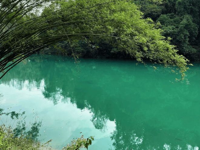 地私人报团价格贵州玩5天游玩行程介绍米乐体育M6直播平台去贵州旅游五天当(图3)